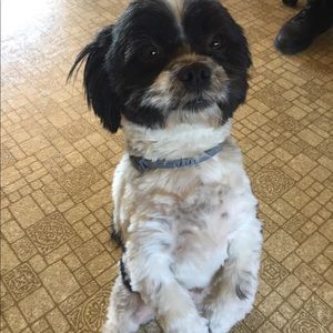 Meet your Posher, Madge